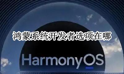 鸿蒙系统功能介绍 鸿蒙系统开发者选项在哪