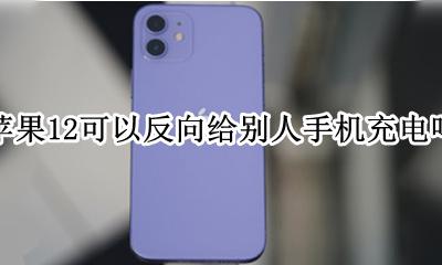 苹果12可以反向给别人手机充电吗 iphone 12有没有反向充电功能