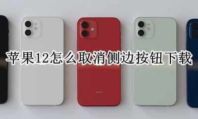 苹果12怎么取消侧边按钮下载 苹果12下载东西通过侧边按钮确认怎么关闭