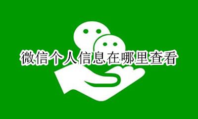 微信号查询个人信息 微信个人信息在哪里查看