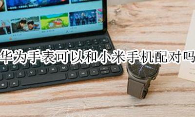 华为手机和手表怎么配对 华为手表可以和小米手机配对吗