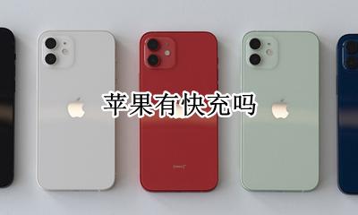 苹果有快充吗 苹果可以快充吗