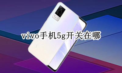 vivo手机5g开关在哪 vivo5g手机怎么开启5g