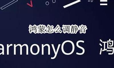 鸿蒙怎么调静音 鸿蒙音响怎么调