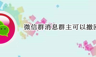 微信群消息群主可以撤回吗 微信群发的消息群主能撤回吗