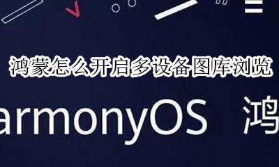 鸿蒙怎么开启多设备图库浏览 设置多设备图库浏览教程