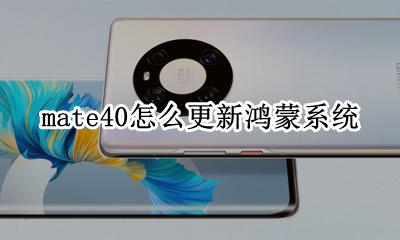 mate40怎么更新鸿蒙系统 mate40p如何升级鸿蒙系统