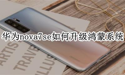 nova7se可以升级鸿蒙吗 华为nova7se如何升级鸿蒙系统