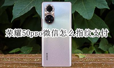 荣耀50pro微信怎么指纹支付 荣耀50pro微信支付不能用指纹