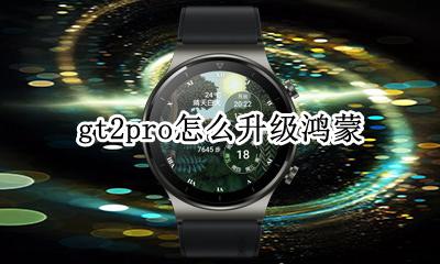gt2能升级鸿蒙 gt2pro怎么升级鸿蒙