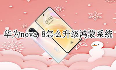 华为nova8能升级鸿蒙系统吗 华为nova 8怎么升级鸿蒙系统
