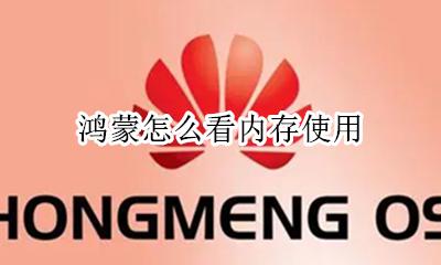 鸿蒙怎么看内存使用 鸿蒙系统占用多少内存