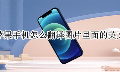 苹果手机图片翻译功能在哪里 苹果手机怎么翻译图片里面的英文