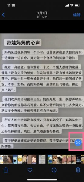 苹果手机怎么翻译图片里面的英文