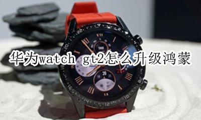 华为watch gt2更新内容 华为watch gt2怎么升级鸿蒙