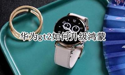 华为gt2如何升级鸿蒙 华为gt2可以升级鸿蒙吗