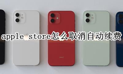 apple store怎么取消自动续费 怎样解除apple store自动续费