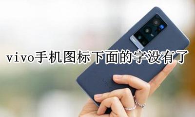 vivo手机右上角的不明图标 vivo手机图标下面的字没有了