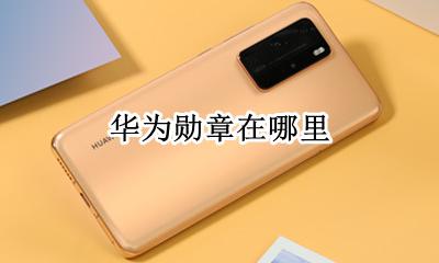 华为勋章在哪里 华为运动勋章大全