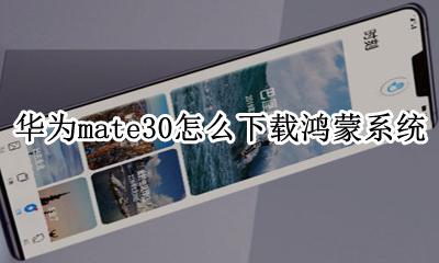 mate30安装鸿蒙系统 华为mate30怎么下载鸿蒙系统