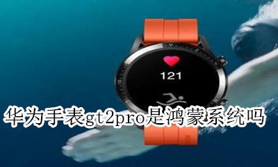华为gt2pro 鸿蒙 华为手表gt2pro是鸿蒙系统吗