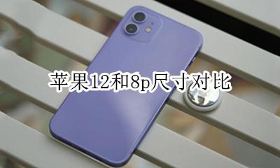苹果12和8p尺寸对比 苹果12与苹果12p的尺寸是一样的大吗