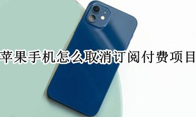 苹果手机怎么取消订阅付费项目 iphone怎么取消付费订阅