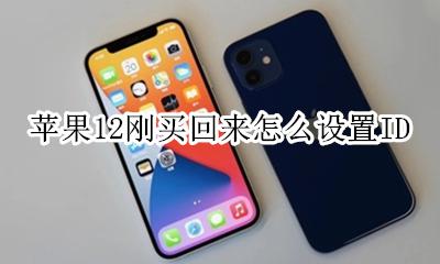 怎么快速买到苹果12 苹果12刚买回来怎么设置ID