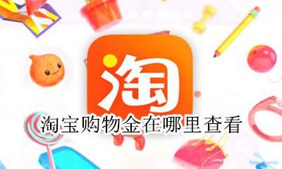 怎么查看淘宝购物金 淘宝购物金在哪里查看