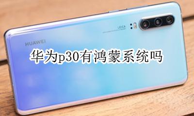 华为p30有鸿蒙系统吗 华为p30可以用鸿蒙系统吗