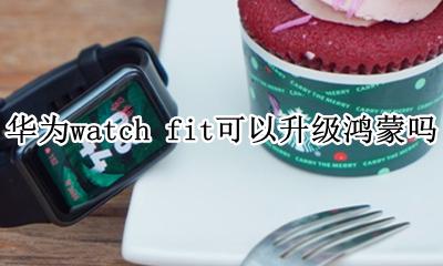 华为watch fit新年版 华为watch fit可以升级鸿蒙吗