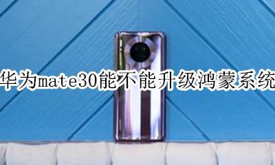 华为mate30能不能升级鸿蒙系统 华为mate30以后可以升级鸿蒙系统吗