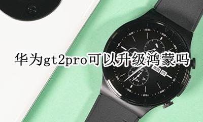 华为gt2pro可以升级鸿蒙吗 华为watchgt2升级鸿蒙系统