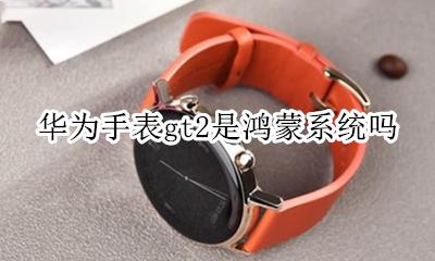 华为gt2手表升级鸿蒙 华为手表gt2是鸿蒙系统吗