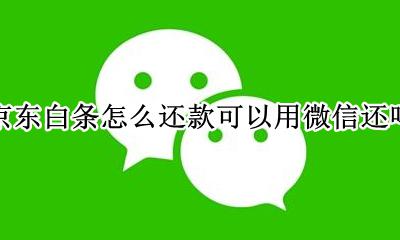 京东白条可微信还款吗? 京东白条怎么还款可以用微信还吗