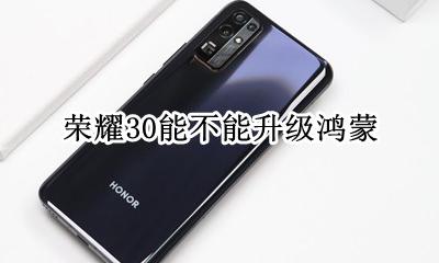 荣耀30怎么升级鸿蒙 荣耀30能不能升级鸿蒙
