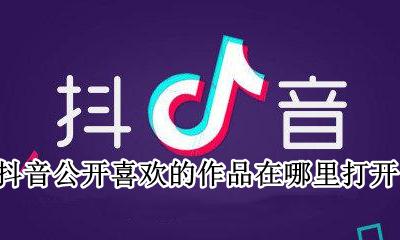抖音公开喜欢的作品在哪里打开 抖音能不能查看谁看了我喜欢的作品