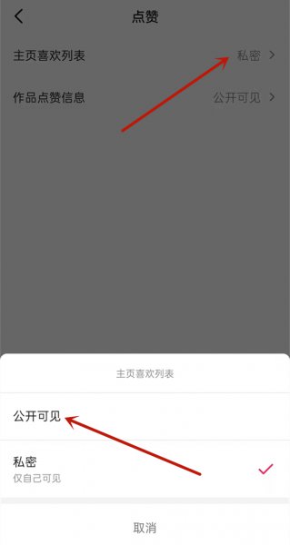 抖音公开喜欢的作品在哪里打开