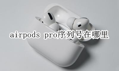 airpods pro序列号在哪里 airpods pro在哪里看序列号