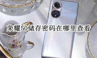 荣耀密码保存在哪里 荣耀50储存密码在哪里查看