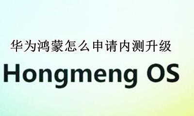 华为鸿蒙怎么申请内测升级 如何申请华为鸿蒙系统内测