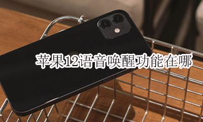 苹果12语音唤醒功能在哪 苹果12siri怎么开启语音唤醒