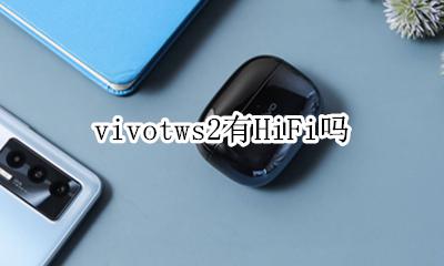 vivo的hifi vivotws2有HiFi吗