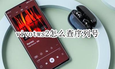 vivo官网查序列号 vivotws2怎么查序列号