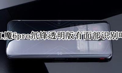 红魔6pro氘锋透明版有面部识别吗 支持面部识别吗