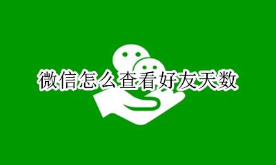 微信怎么查看好友天数 微信怎么查看与好友认识的天数