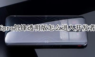 红魔6pro氘锋透明版怎么进入开发者模式 如何进入开发者模式