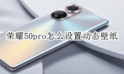 荣耀50怎么弄动态壁纸 荣耀50pro怎么设置动态壁纸
