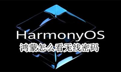 鸿蒙怎么看无线密码 查看wifi密码教程