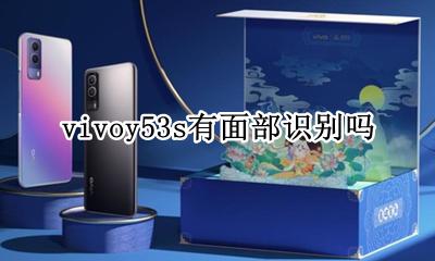 vivoy53s有面部识别吗 vivoy53s指纹识别在哪